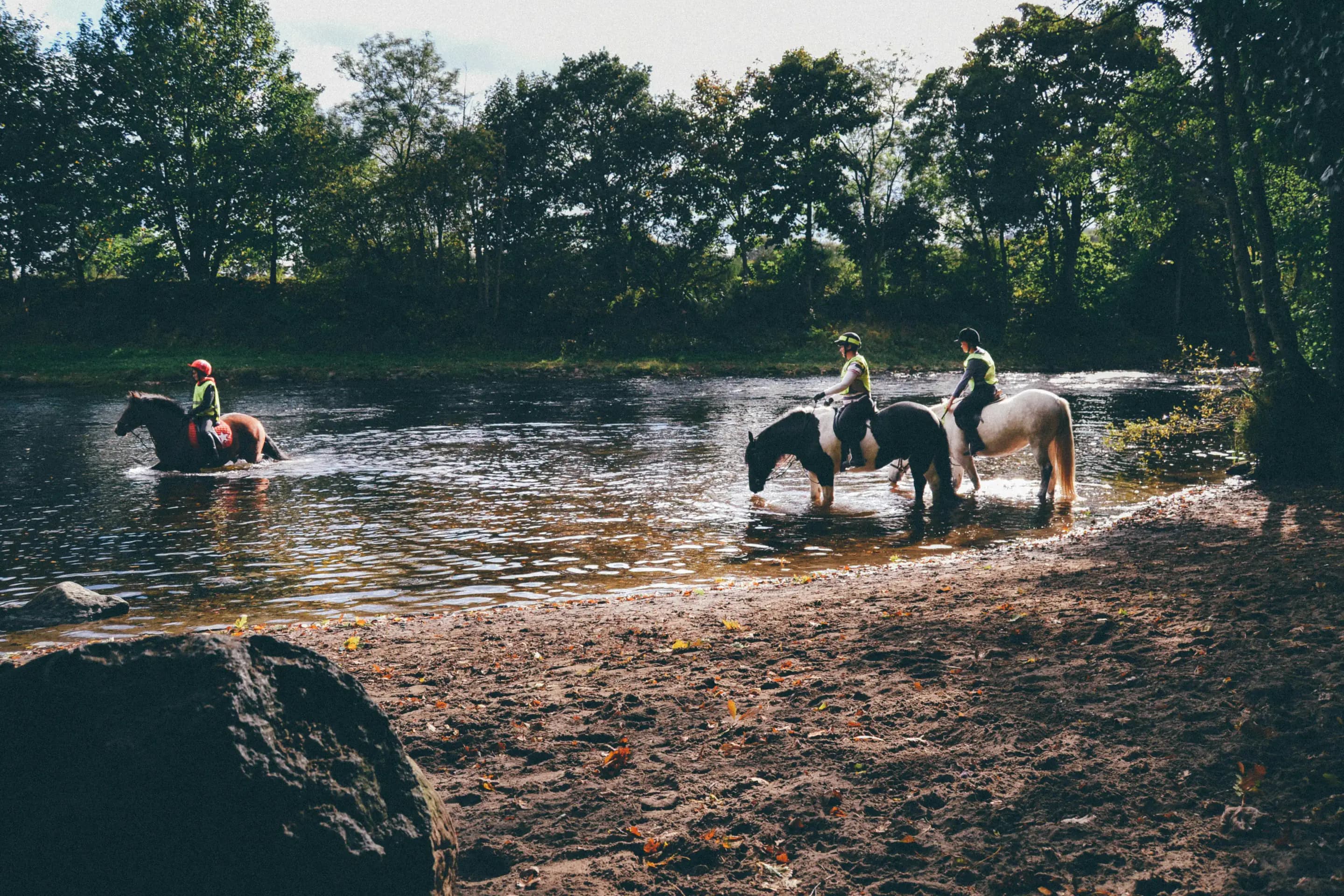 Horse experience by the lake