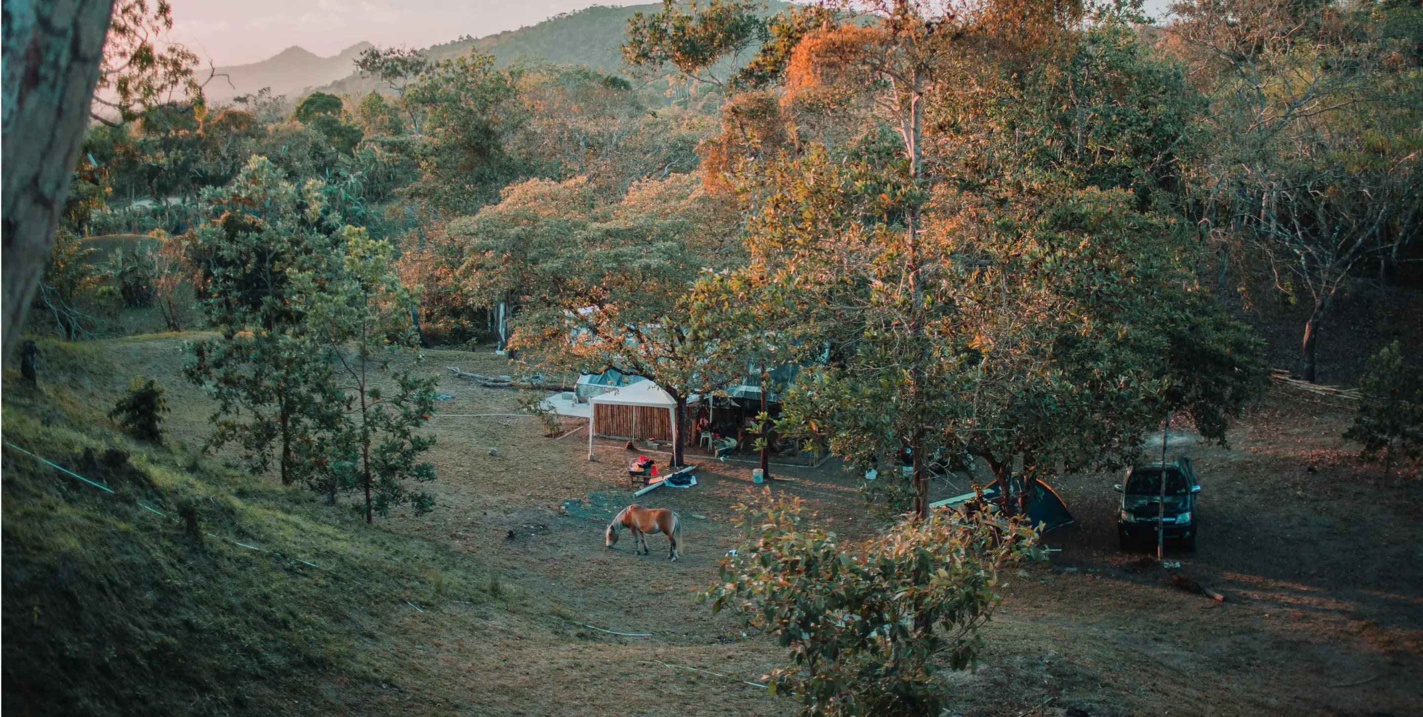 Farmstay experience