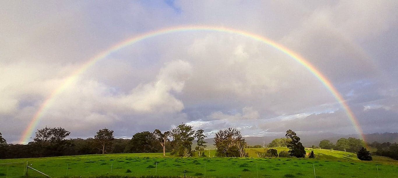Homeville Horse Camp Farmstay, Elands, NSW (photo 9)