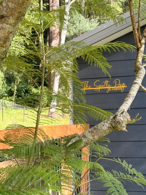 Farm Stay at Boutique Horse Stay at The Spotty Dog, Holgate, NSW (photo 3)