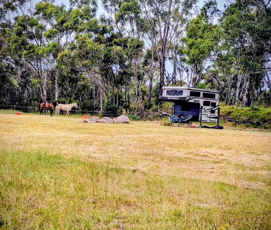 Farm Stay at Donnellys Castle Bush & Horse Paddock Camping, Pozieres, QLD (photo 3)