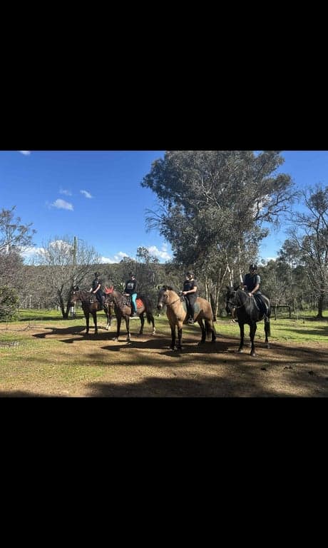 Farm Stay at Haddlestone Farm. Camp with your horse and ride for miles!, Trigwell, WA (photo 2)