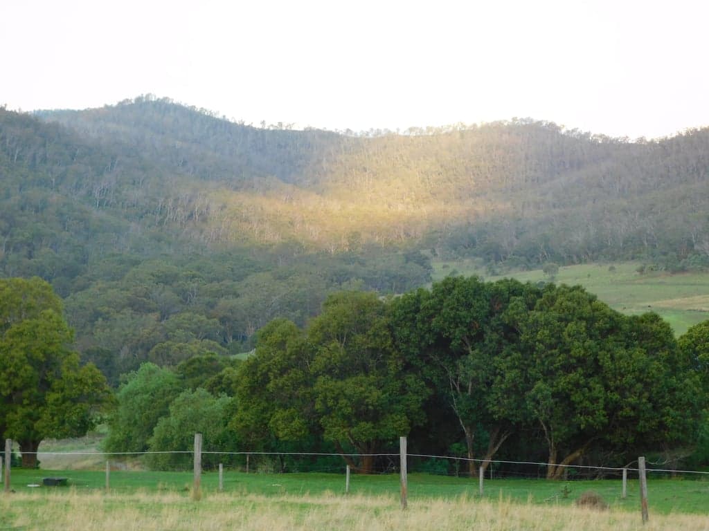 Farm Stay at Bring your own horse, access to wonderful trail rides, Yangan, QLD (photo 5)