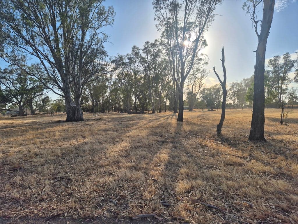 Farm Stay at Quiet, calm environment for horse & human stays, Arcadia, VIC (photo 5)