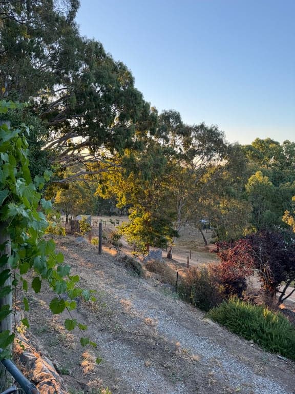 A Little Bit Country Farm Stay, Birdwood, SA (photo 9)