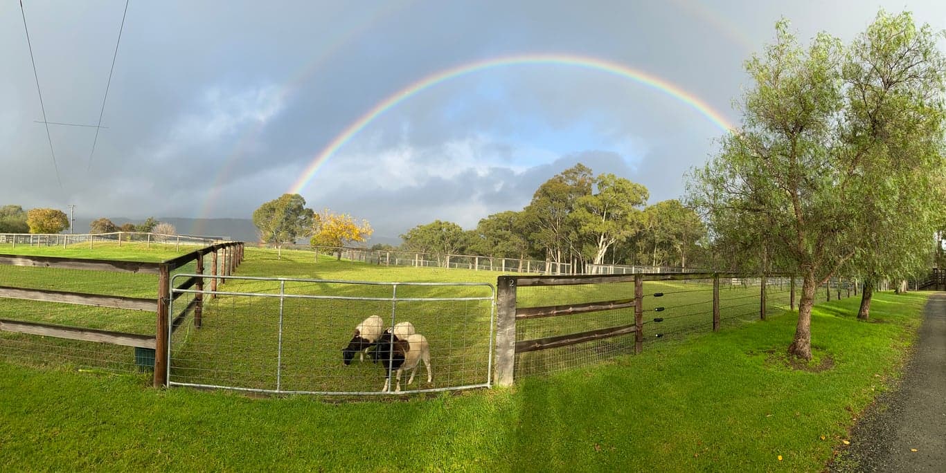 Malolo Park Farmstay in the Watagans Hunter valley, Quorrobolong, NSW (photo 3)