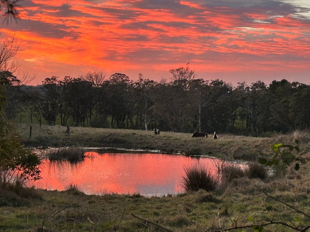 Farm Stay at Hidden Brook Stays perfect for you and your horse!, Bundanoon, NSW (photo 8)