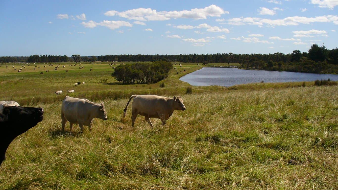 Farm Stay at SAFE FOR HORSES AND COSY ACCOMMODATION FOR THEIR RIDERS, Narrikup, WA (photo 9)