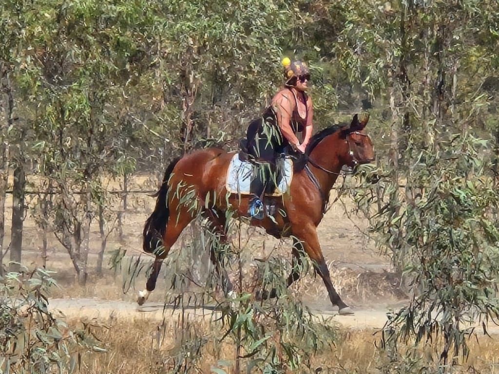 Farm Stay at Quiet, calm environment for horse & human stays, Arcadia, VIC