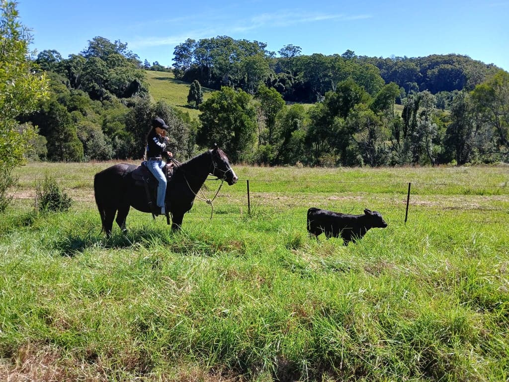 Homeville Horse Camp Farmstay, Elands, NSW (photo 6)