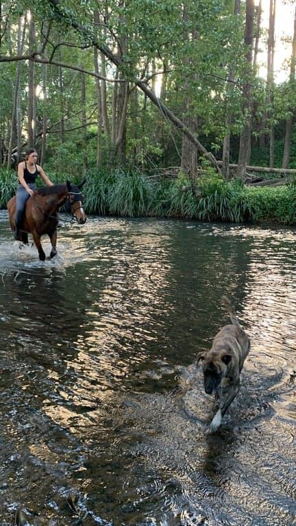 Ubuntu Horse & Farm Stay in Tallebudgera (photo 3)
