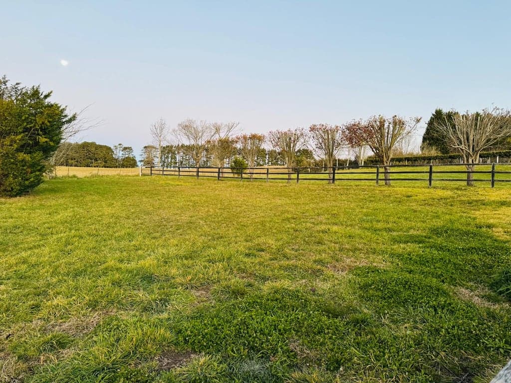 Farm Stay at Airbnb with sweeping views & horse paddocks, Sutton Forest, NSW (photo 5)