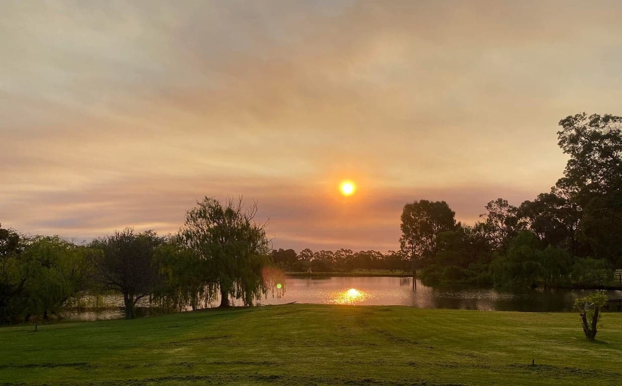 Farm Stay at Cosy cottage and big paddocks. Perfect for short stay, North Dandalup, WA (photo 8)