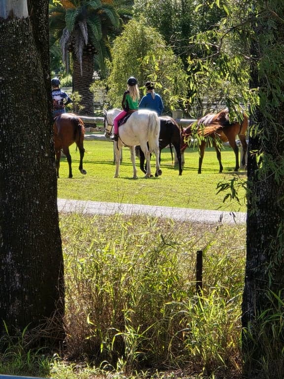 Farm Stay at No Fuss Horse Stay, Helidon, QLD (photo 10)