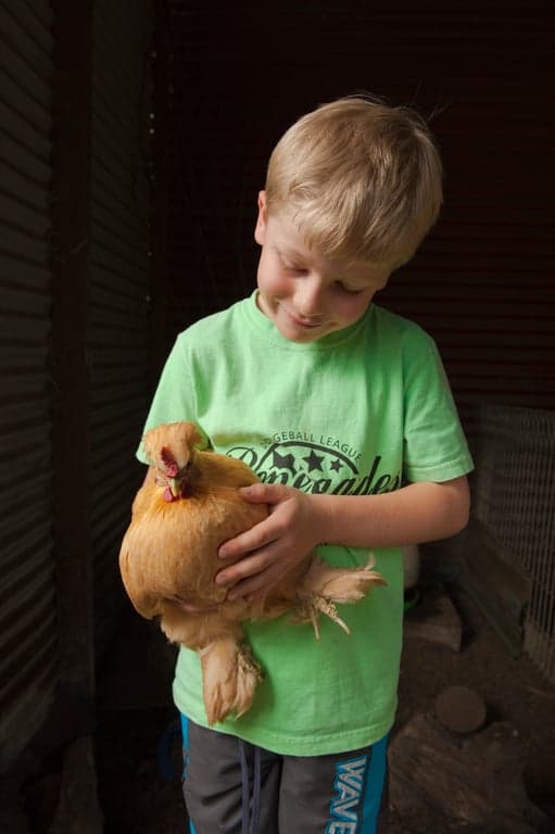 Farm Stay at Bilpin Country Lodge family accommodation in Blue Mtns NSW (photo 7)