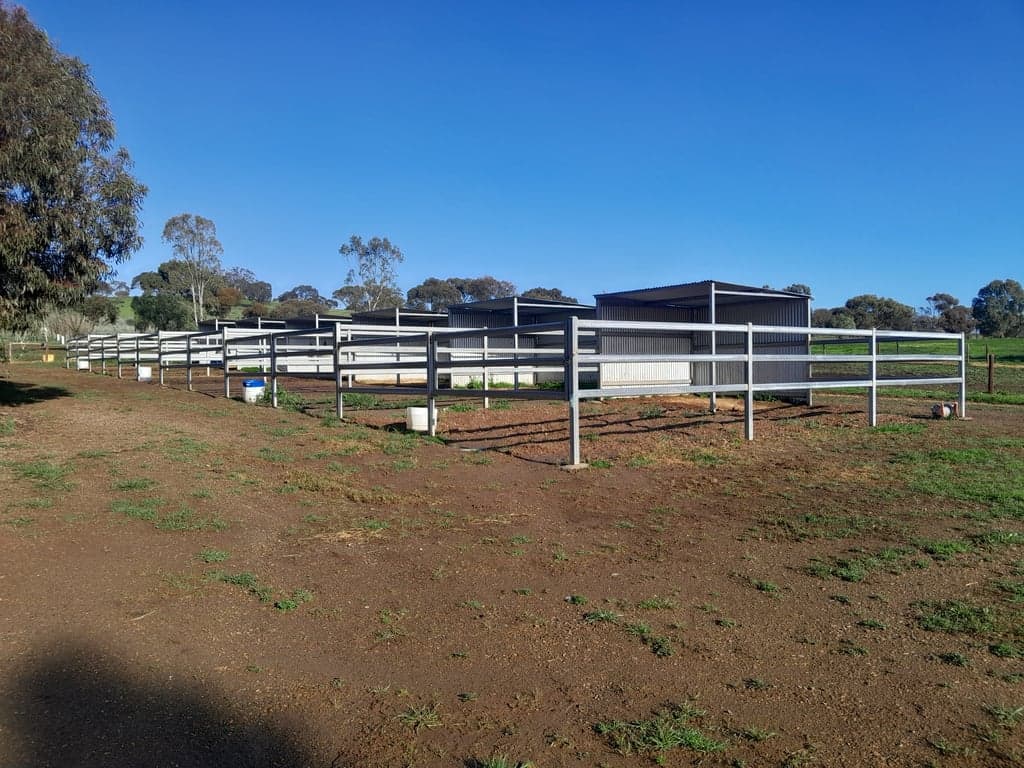 Overnight and short stays for you and your horse., Allendale North, SA (photo 3)
