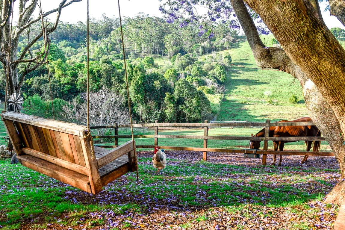 Photo of Stay 'n' Ride at Doomben Ridge farm House!