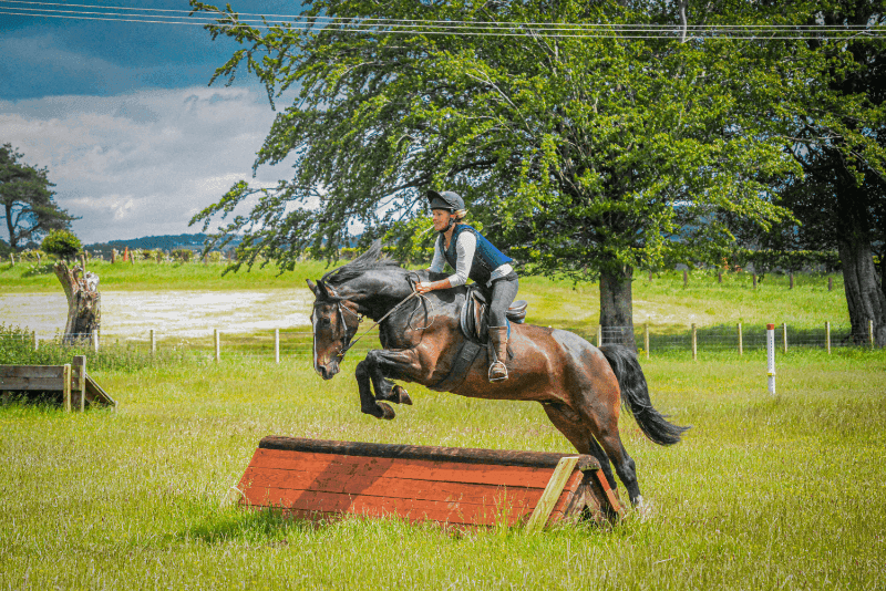 Thumbnail 3 of Valery Horse Stayz