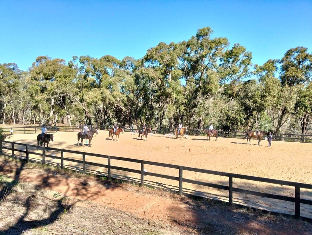 Farm Stay at Molyullah Equine - camping & yards, obstacles & arena (photo 3)