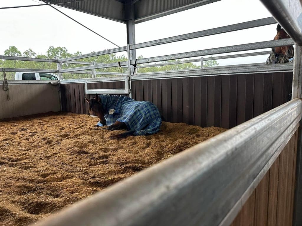 Farm Stay at Stay at a Working Equestrian Centre, Mareeba, QLD