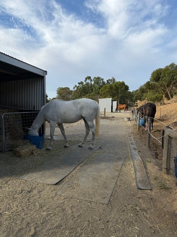 A Little Bit Country Farm Stay, Birdwood, SA (photo 3)