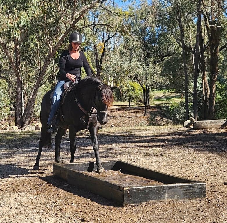 Farm Stay at Molyullah Equine - camping & yards, obstacles & arena (photo 9)