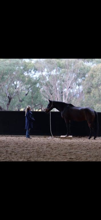 Thumbnail 2 of Equestrian Short Stay - Train, Stay & Ride in Central Vic