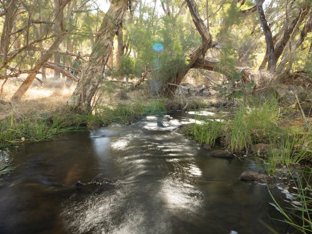Luxury Tiny Farm Stay Bring Your Horse City Escape, North Dandalup, WA (photo 9)