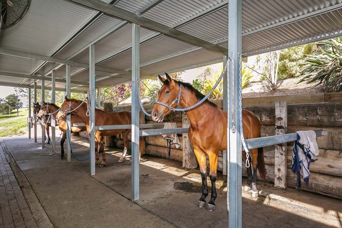 Farm Stay at Enjoy camping with your horse, Biddaddaba, QLD (photo 4)