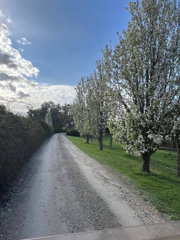 Farm Stay at Ride own horse on Great Southern Rail Trail and stay in Tiny, Nyora, VIC (photo 7)