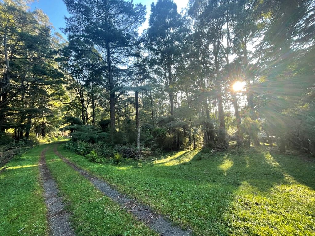 Farm Stay at Cosy Cottage, Forest Mountain Trails & Historic Pub nearby, Reefton, VIC (photo 3)