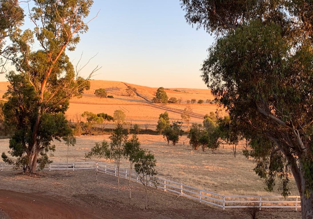 Farm Stay at Accommodation available with space for your horses, Buckland, WA (photo 4)