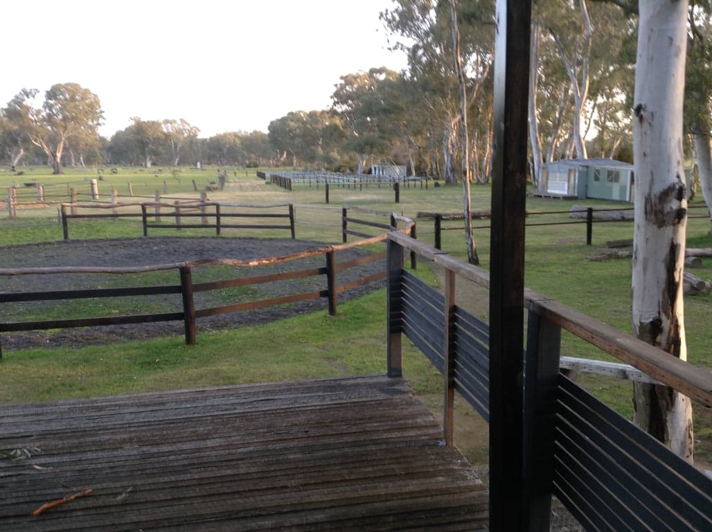 Farm Stay at Holiday with your horse! Accomodation option #1, Mooralla, VIC (photo 7)