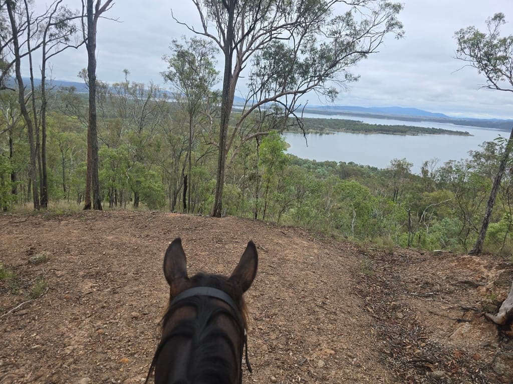 Welcome to Mount Mulgowie-off grid, horse friendly farm stay, Buaraba, QLD (photo 8)