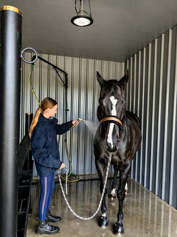 Farm Stay at Luxury Horse Retreat 🐎 | Group Getaway for 16, Herron, WA (photo 9)
