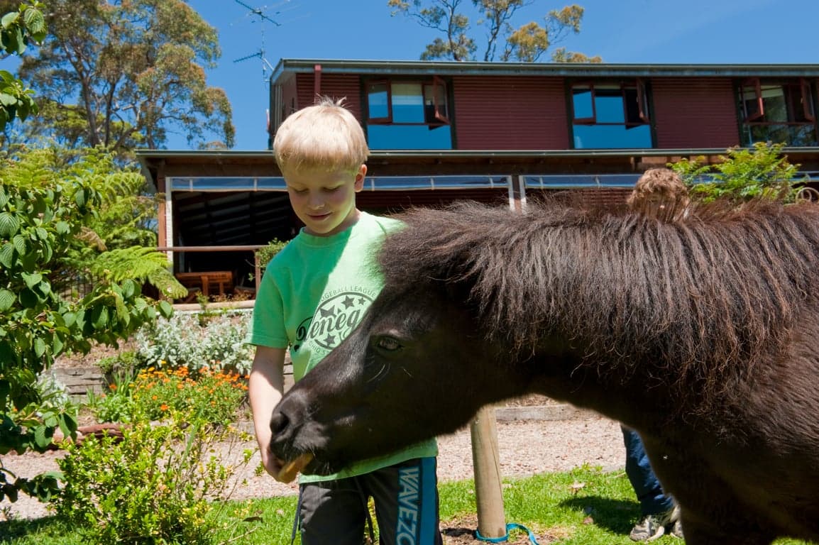 Farm Stay at Bilpin Country Lodge family accommodation in Blue Mtns NSW (photo 6)