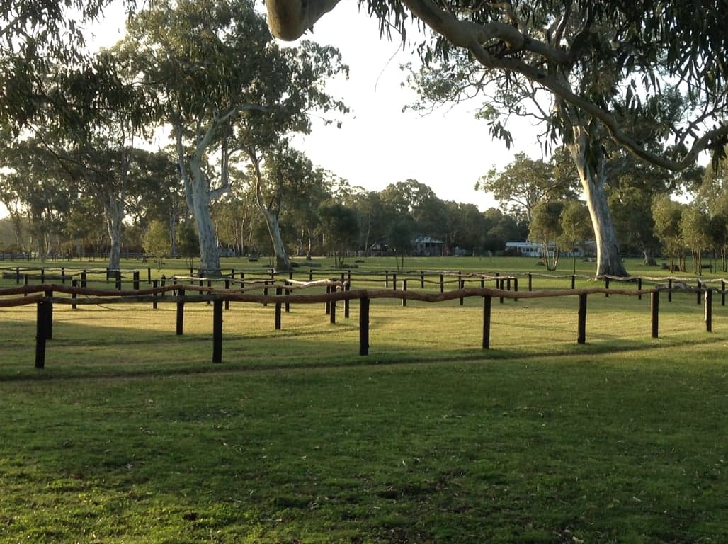 Campsite amenities + large overnight yarding for horses, Mooralla, VIC (photo 4)