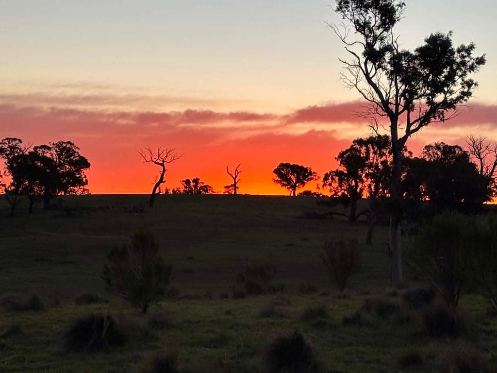 Overnight/short term stays offered for horses., Yarra, NSW (photo 5)