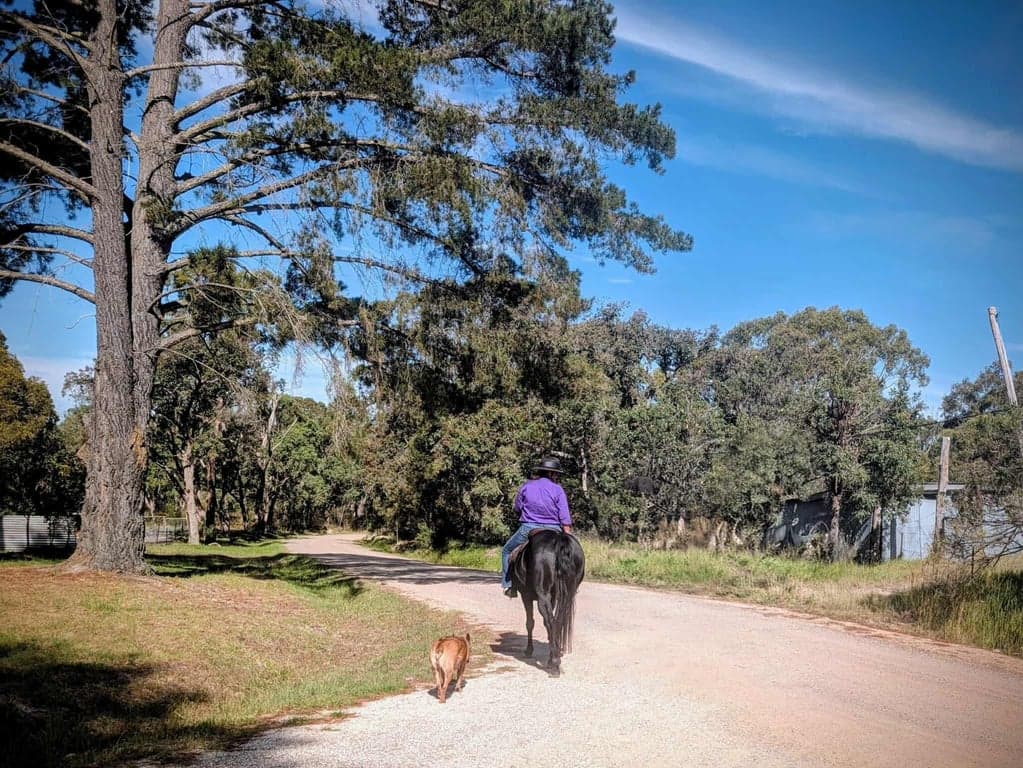Farm Stay at Donnellys Castle Bush & Horse Paddock Camping, Pozieres, QLD (photo 4)