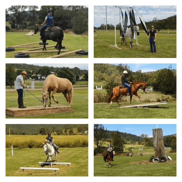 Farm Stay at Enjoy camping with your horse, Biddaddaba, QLD (photo 2)