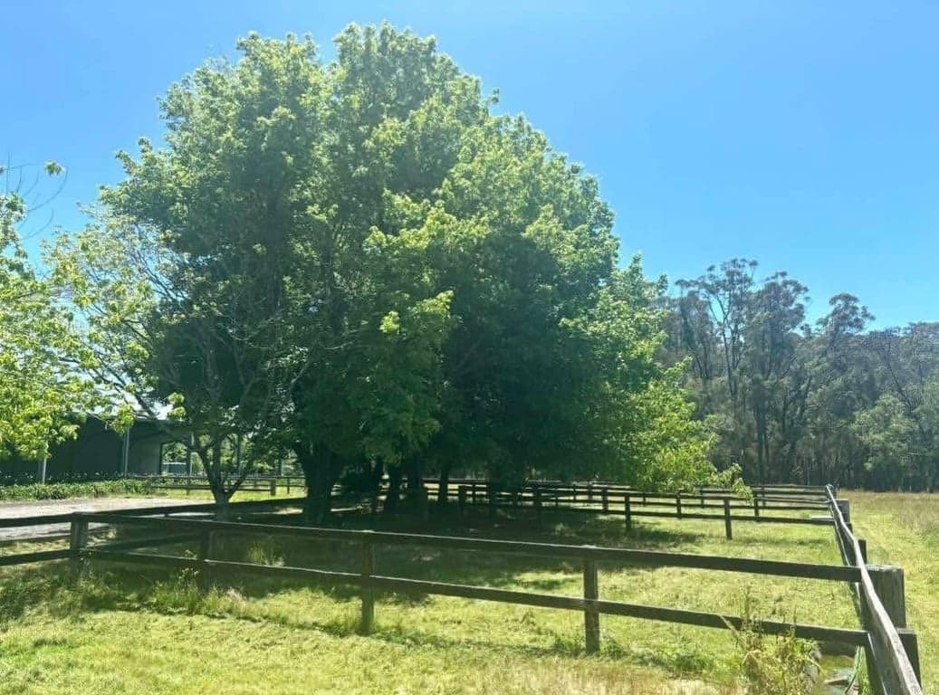 Farm Stay at Stay in our bunkhouse and enjoy a peaceful ride, Fitzroy Falls, NSW (photo 3)