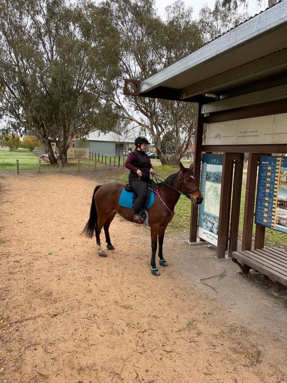 Farm Stay at Camping with Horses, Trawool, VIC (photo 5)
