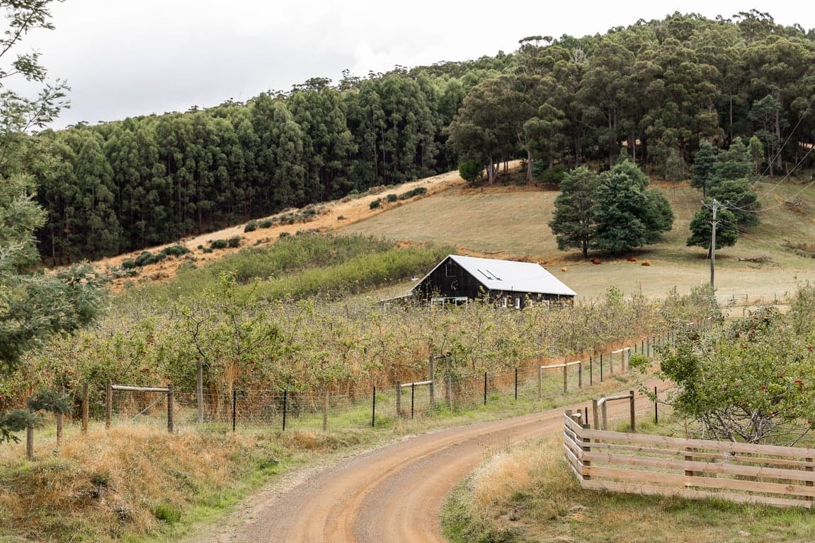 Farm Stay at The Barn & Paddock, Cygnet, TAS (photo 4)