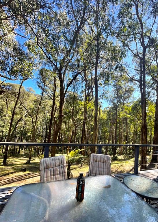 Farm Stay at Cosy Cottage, Forest Mountain Trails & Historic Pub nearby, Reefton, VIC (photo 6)