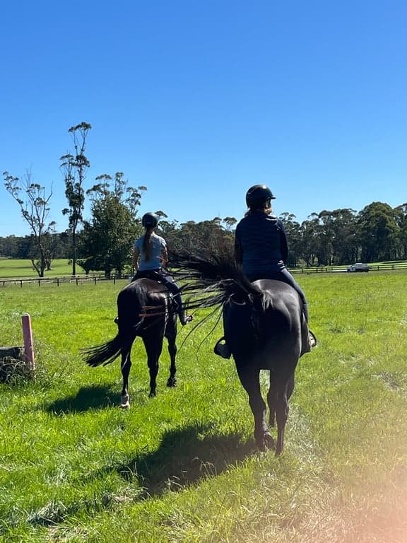 Farm Stay at Holiday with your horse, dog and besties., Avoca, NSW (photo 2)