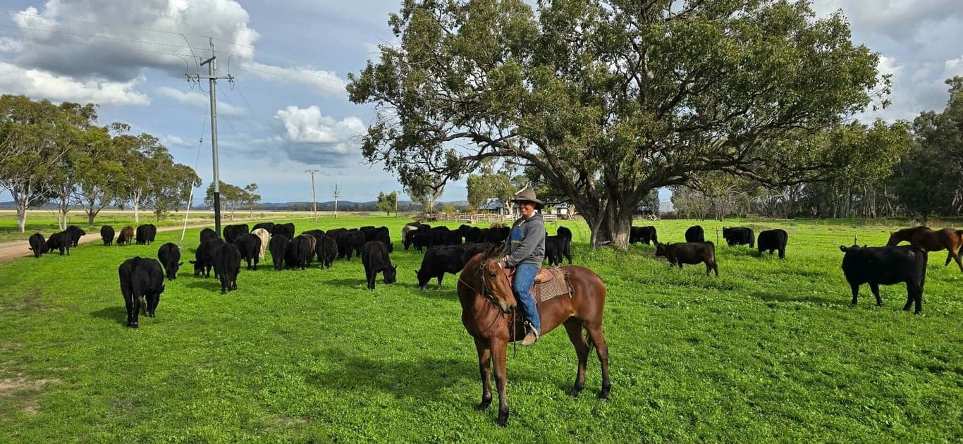 Namoi River, Kaputar Ranges & your farm stay in between!, Harparary, NSW