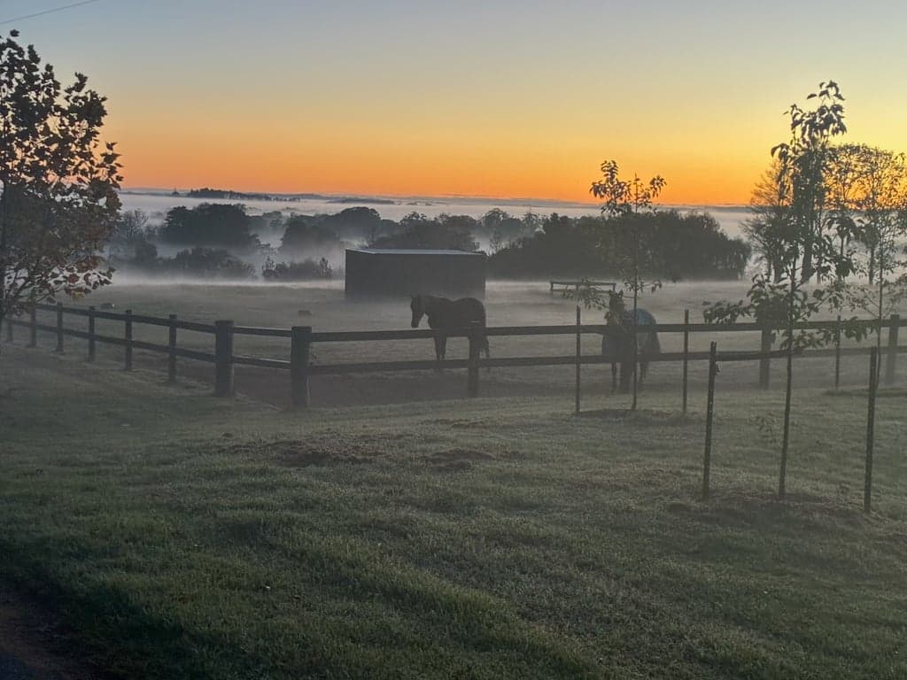 Farm Stay at Cosy Farm Cottage with room for your horses, Sutton Forest, NSW (photo 8)