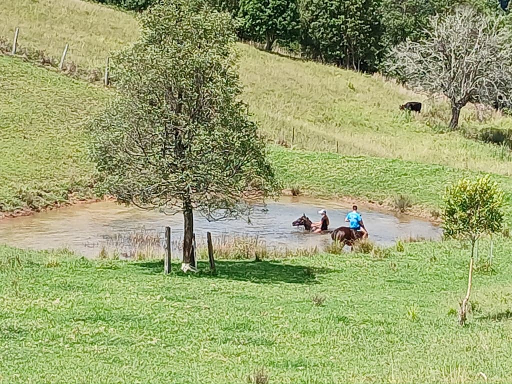 Homeville Horse Camp Farmstay, Elands, NSW (photo 4)