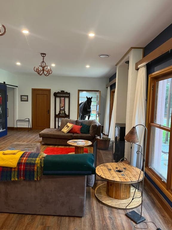 Farm Stay at Holiday with your horse, dog and besties., Avoca, NSW