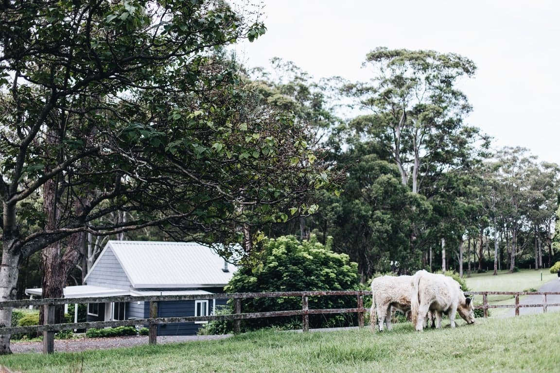 Farm Stay at Stylish cottage accommodation + horse paddock/stable., Berry, NSW